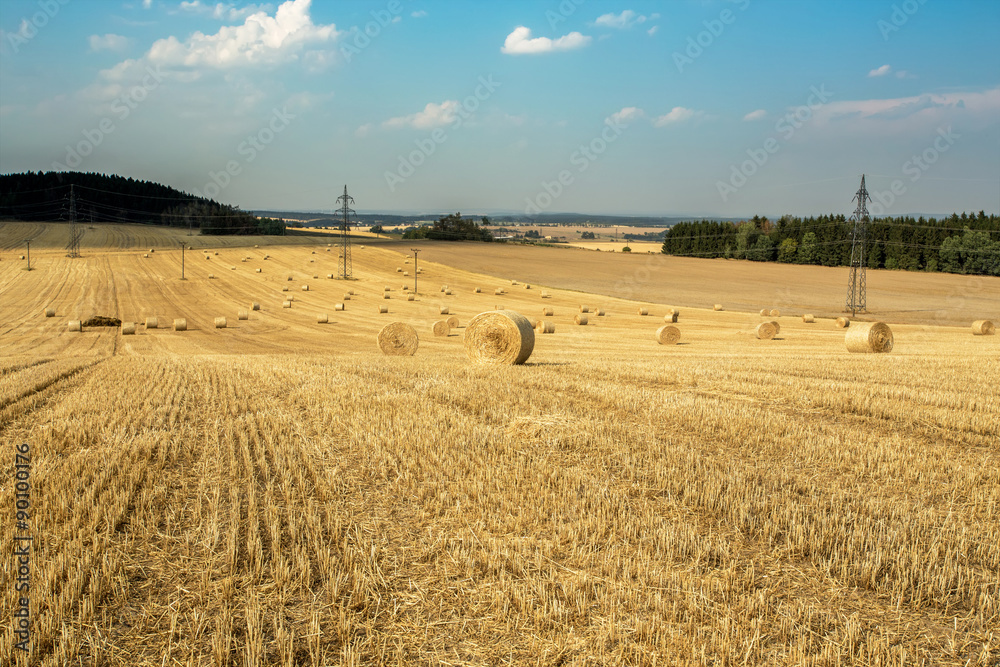 Fototapeta premium Beautiful landscape with straw bales in harvested fields
