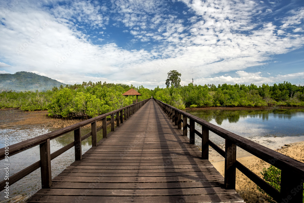 Indonesian landscape with mangrove and walkway Indonesian landscape with mangrove and walkway