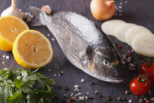 Fototapeta Naklejka Na Ścianę i Meble -  Raw dorado fish with ingredients close-up. horizontal

