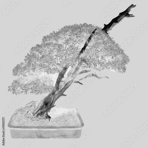 Silhouette of japanese trees black on white background, vector illustration