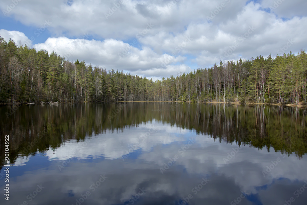 Reflection of forest and the sky with clouds on the forest lake surface in Kõremaa Nature Reserve, northern Estonia