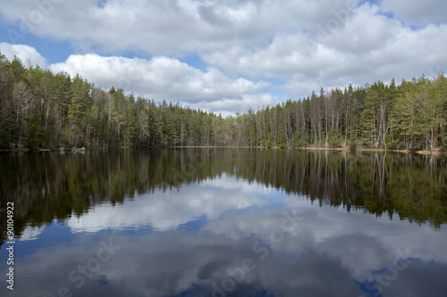Reflection of forest and the sky with clouds on the forest lake surface in Kõremaa Nature Reserve, northern Estonia