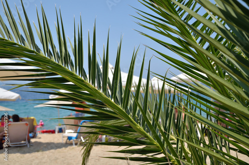 Palm branches and beach