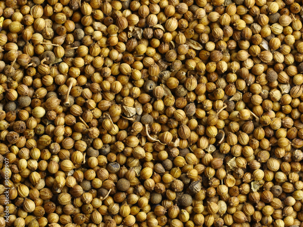 Coriander seeds