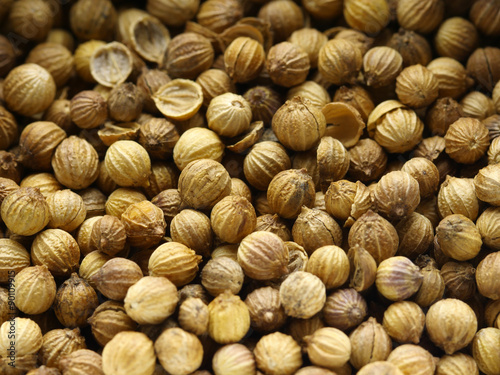 Coriander seeds close up