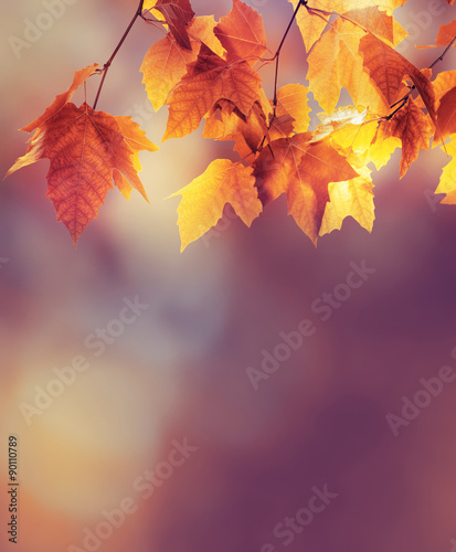 Autumn background #90110789