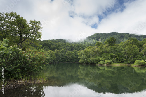 鎌池