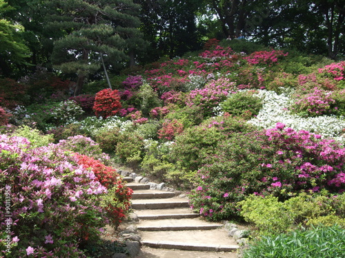 ツツジが咲く春の六義園（藤代峠）　Rikugien Gardens (Fujishiro-toge)