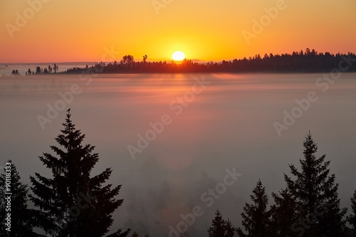 Amazing sunrise in the swamp. Thick fog covers the entire swamp and sunlight is hitting the fog from above. 