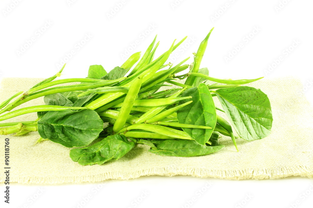 cluster bean or guar been indian vegetable in white background cluster bean or guar been indian vegetable in white background