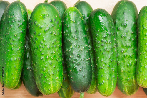 Cucumbers on the table ripe harvest