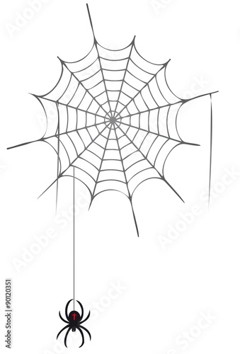 Spinnennetz