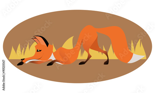 Cute sly fox
