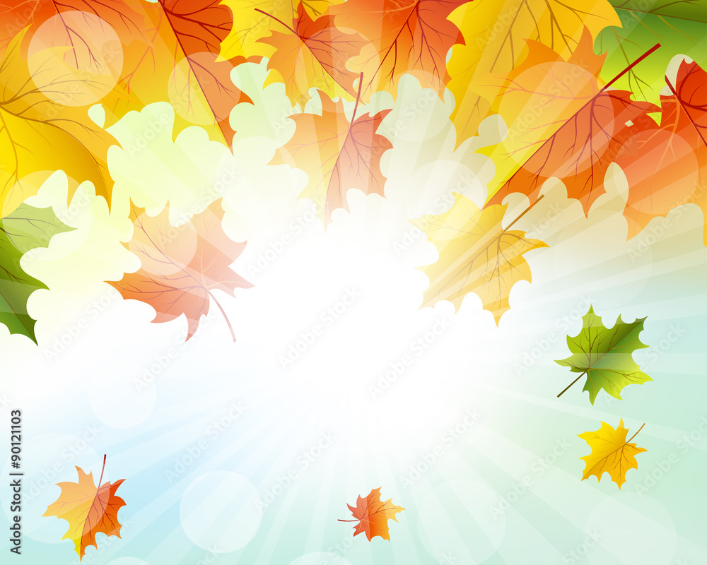 Autumn Frame Autumn Frame
