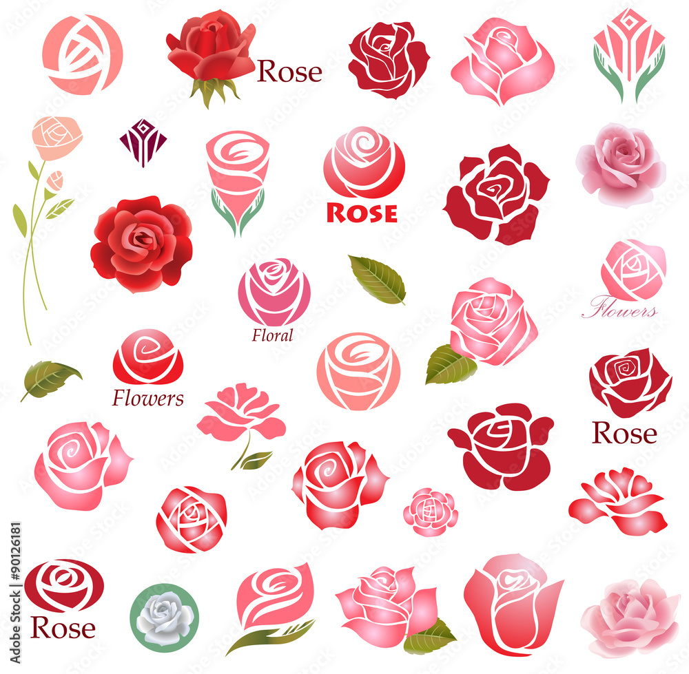 Roses design elements  - obrazy, fototapety, plakaty 