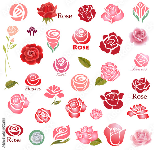Roses design elements  photo