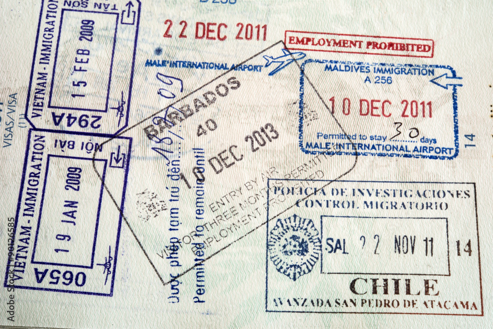 Fototapeta Visa passport