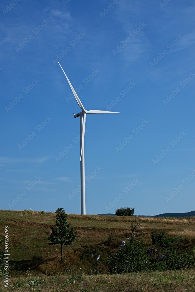 electric windmill