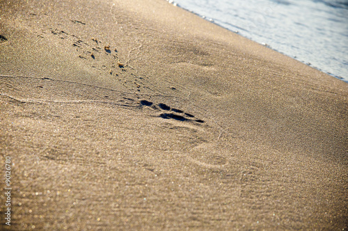 Footsteps on the beach by the sea in summer.