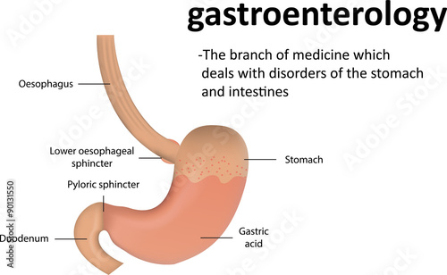 Gastroenterology