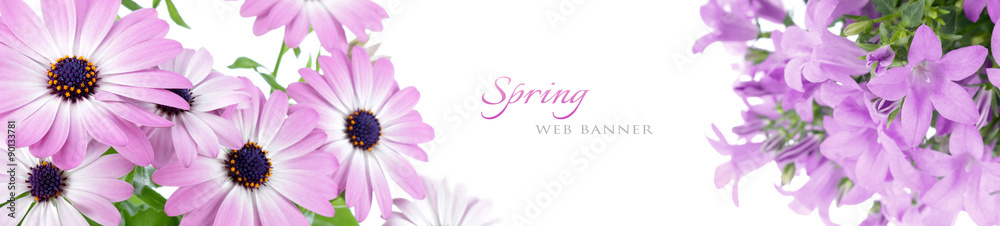 Spring web banner - obrazy, fototapety, plakaty 