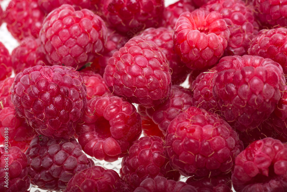 A beautiful selection of freshly picked ripe red raspberries. A beautiful selection of freshly picked ripe red raspberries.