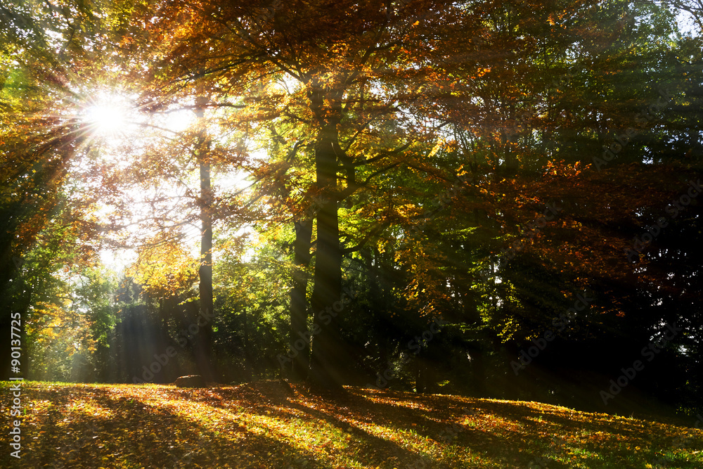 Obraz premium Freiburg, Schloßberg
