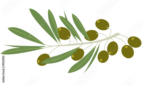 OLIVE