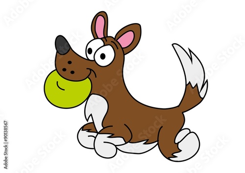 pies, dog frisbee,zawody