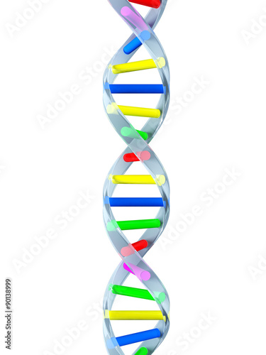 DNA strand over white background