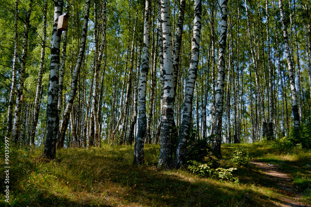 Fototapeta premium Брянская весна