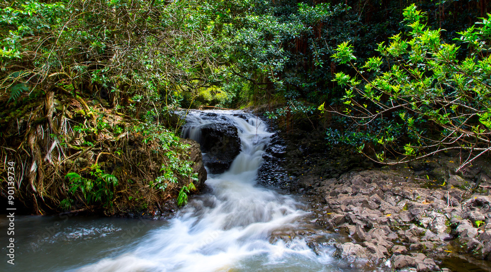 Fototapeta premium Americas finest Nature- Wasserfall