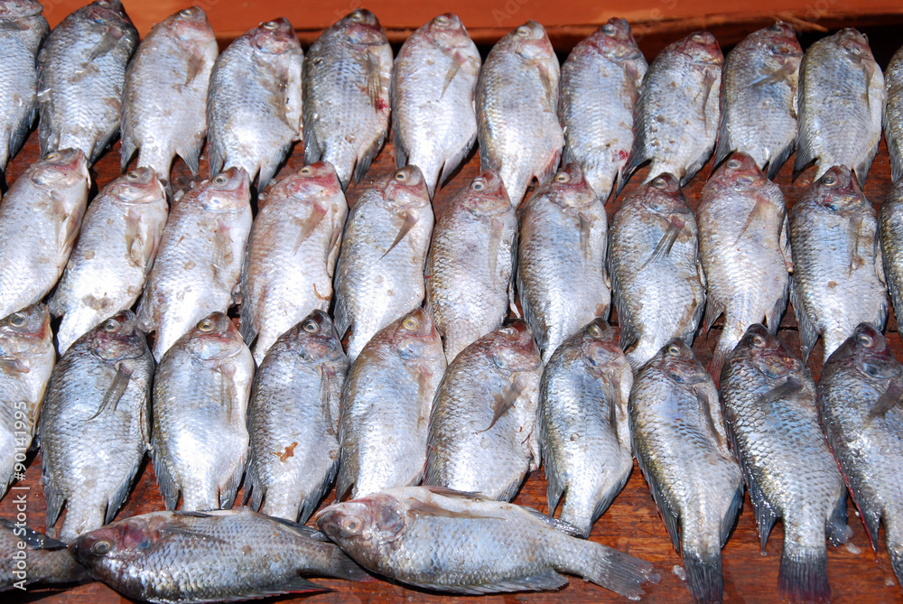Fresh fish exposed on the market stalls of the village Pomerini