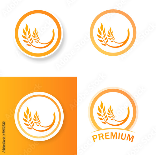 Ears of Wheat