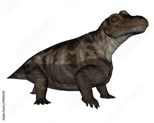 Keratocephalus dinosaur - 3D render © Elenarts