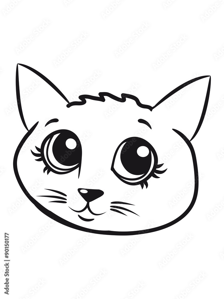 Cat small young sweet loving pet Cat small young sweet loving pet