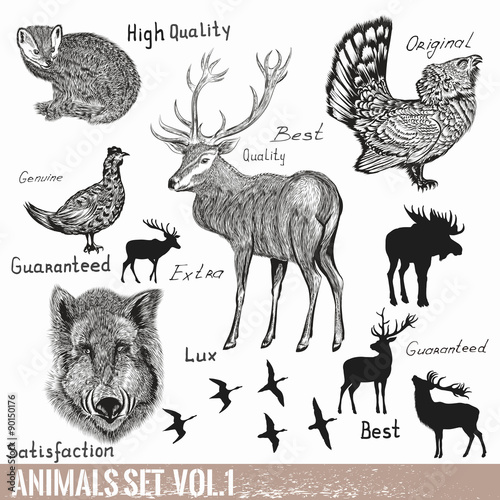 Set of vector hand drawn detailed  forest animals