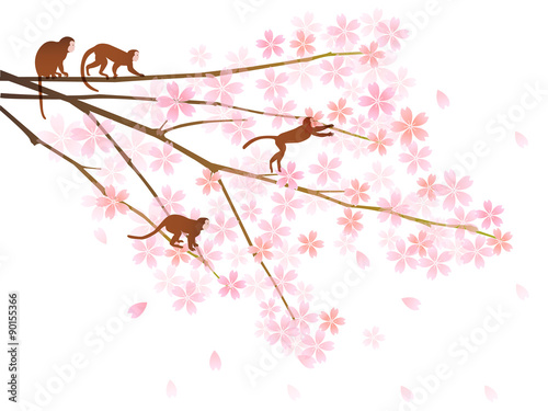 申　桜　年賀状