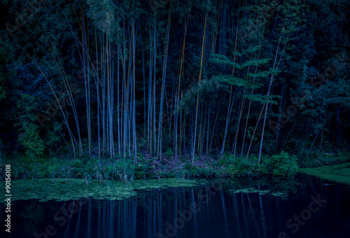 池と竹林