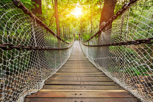 Suspension bridge in the forest photo