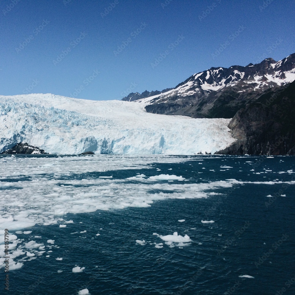 Aialik Glacier Aialik Glacier