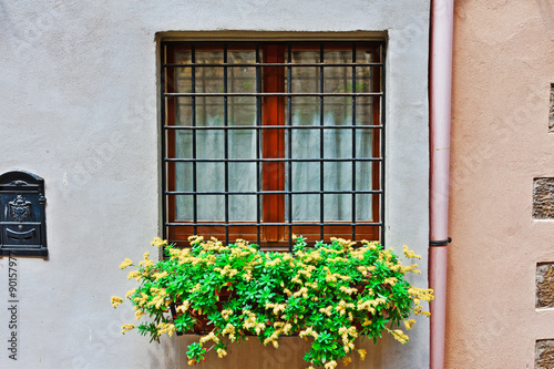 Window