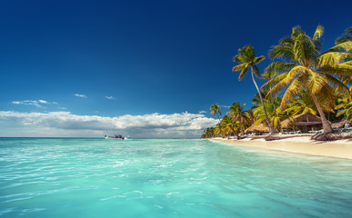 Keuken achterwand Turquoise Tropisch paradijselijk eiland met palmen  © ValentinValkov