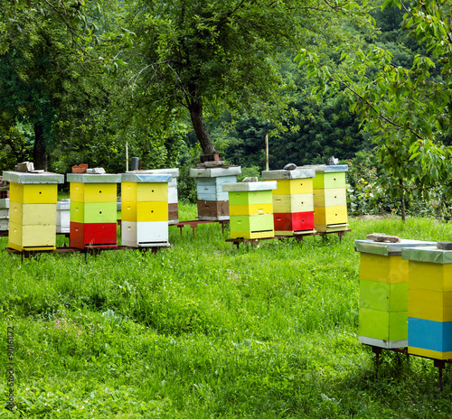 Colored bee houses on meadow in countryside of Montenegro. © Travel Faery