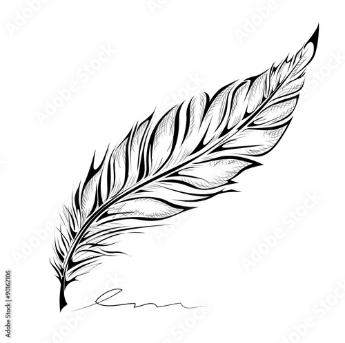 Hand drawn feather on white background