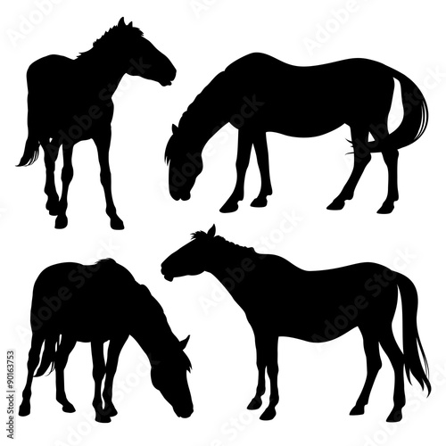 Horse silhouette 001