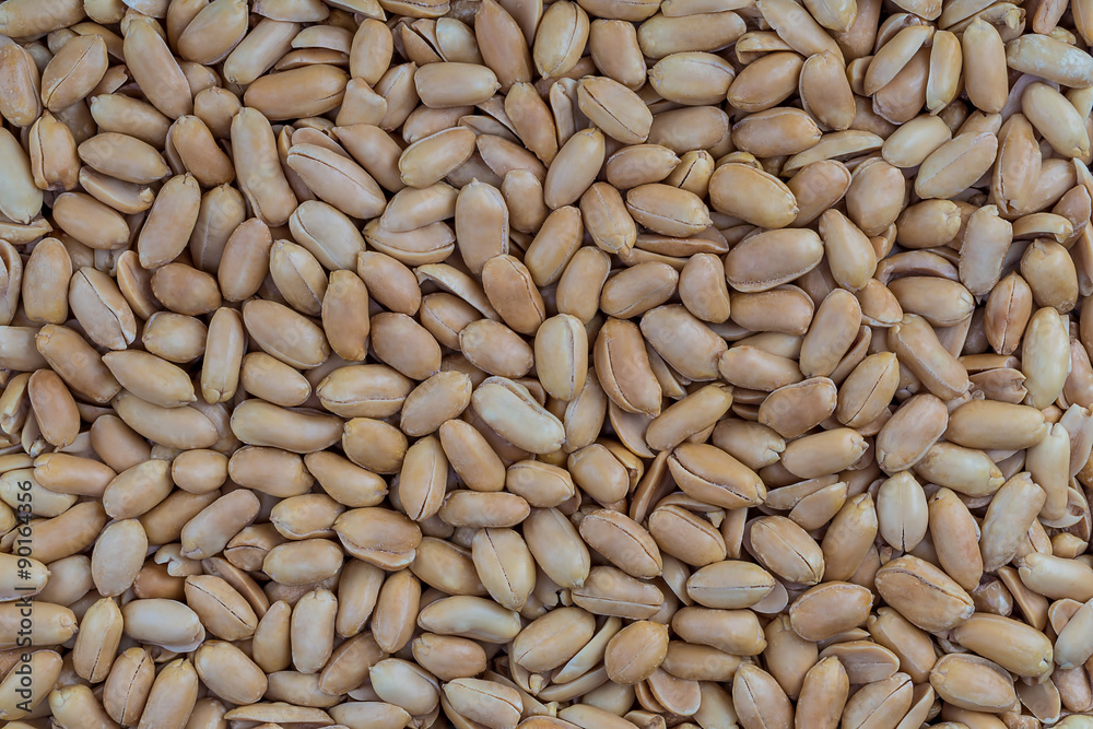 Extreme close-up image of peanuts, background image Extreme close-up image of peanuts, background image