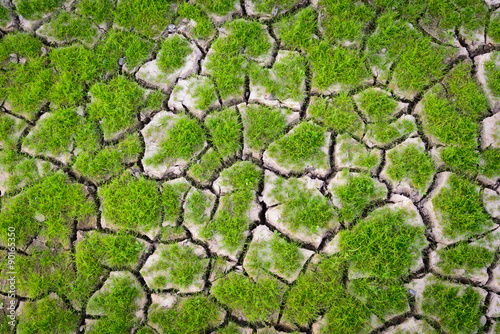 Crack soil on dry season, Global worming effect.