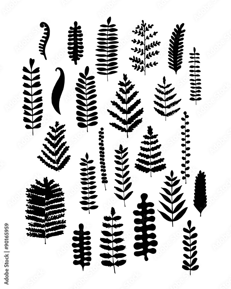 Leaf set, sketch for your design Leaf set, sketch for your design