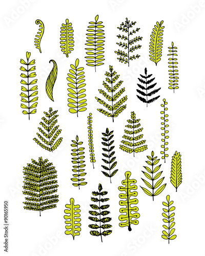 Leaf set, sketch for your design